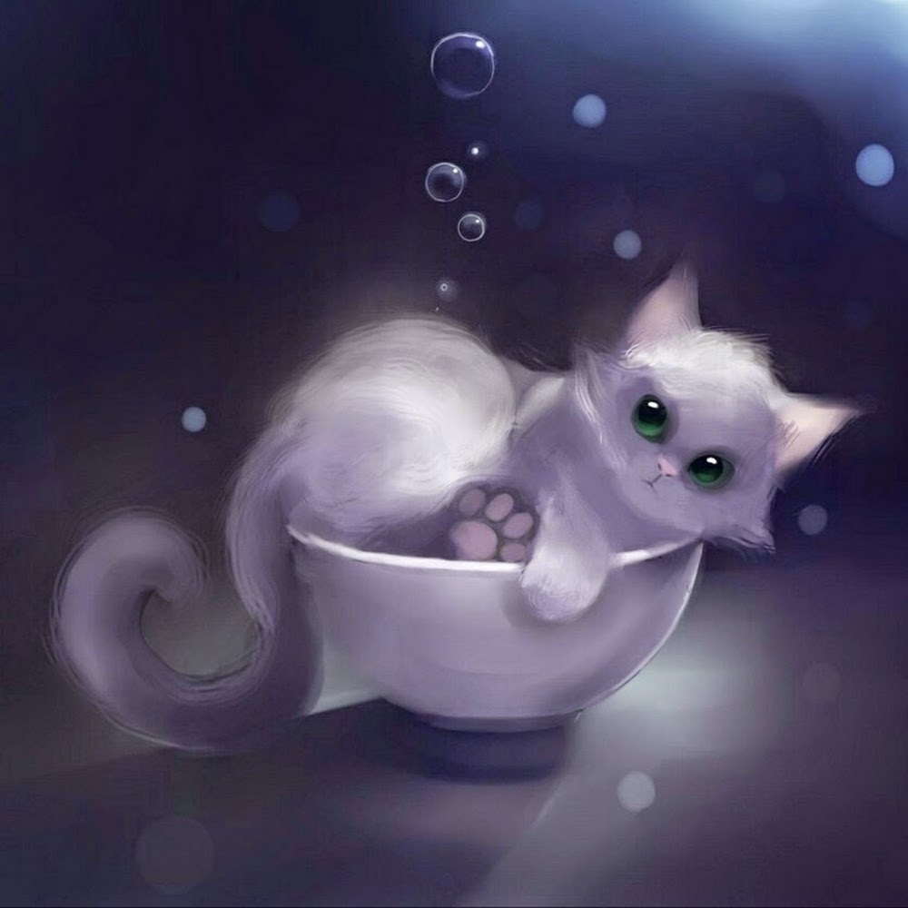 Meet your Posher, Shaintell